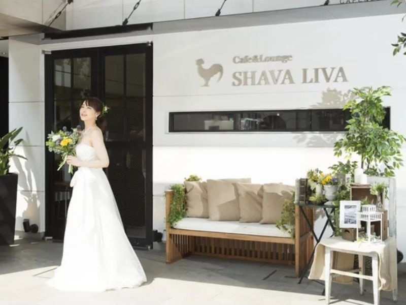 SHAVA LIVA