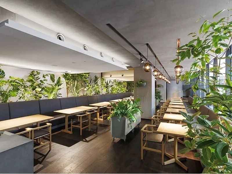 Hyssop/ヒソップ　@ GOOD NATURE HOTEL