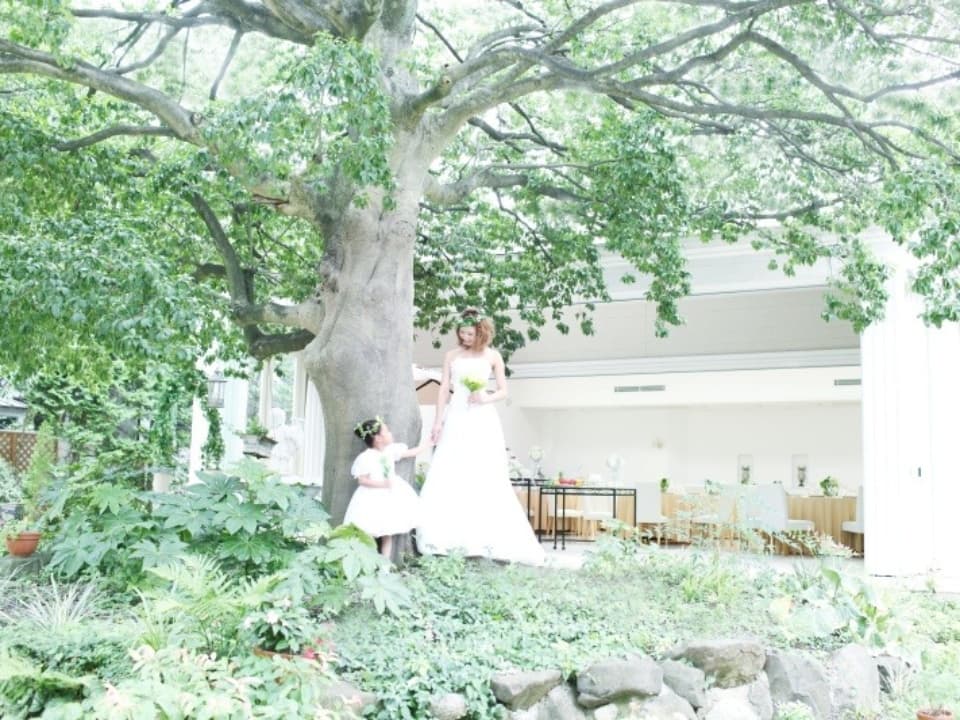写真12枚目