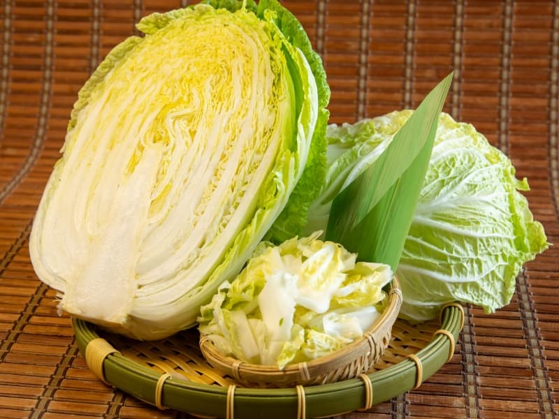 「こだわりのお野菜」
毎日、厳選した新鮮なお野菜をお届けします。
