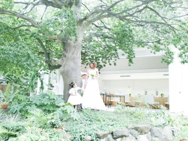写真12枚目