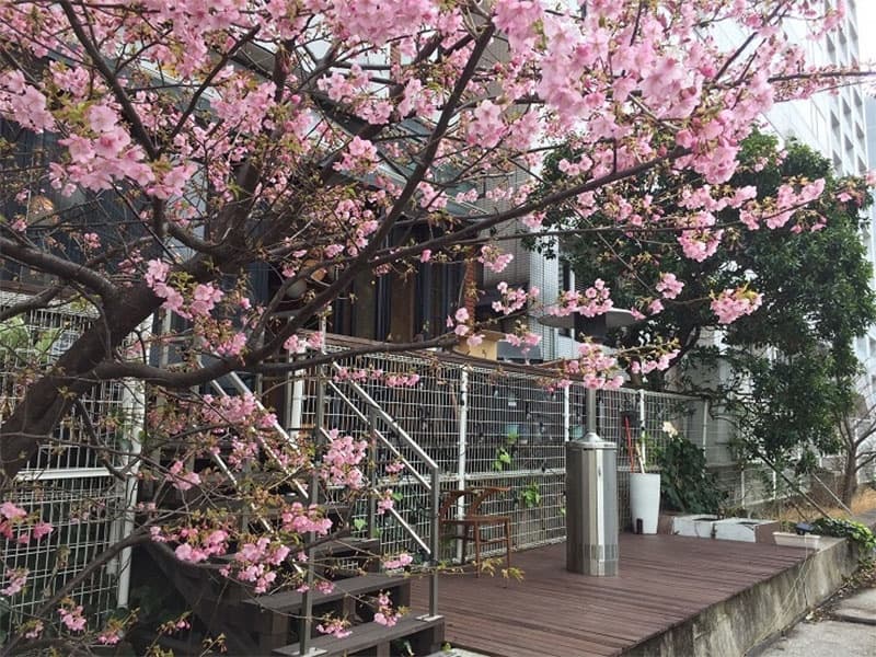 写真48枚目