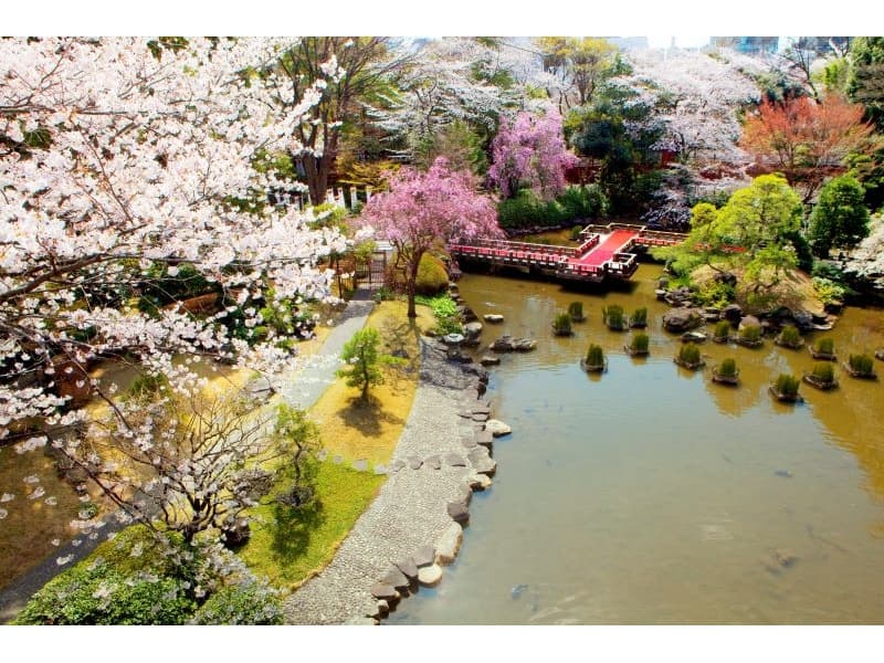 日本庭園『春』
1万坪もの絶景日本庭園。
全てのバンケットから日本庭園を臨めめます。
謝恩会、歓送迎会、入社式等春らしいイベントを桜で彩ります。