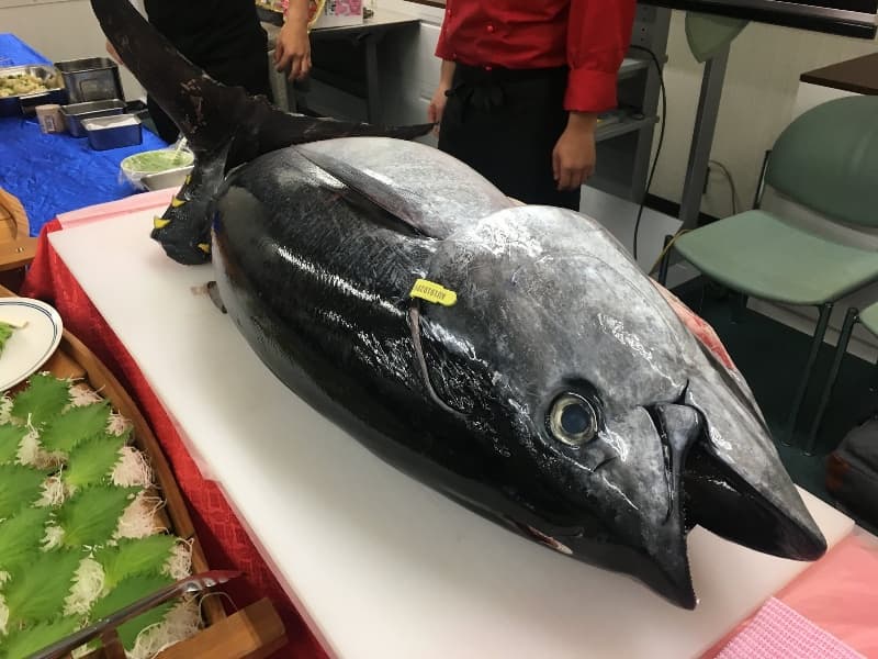 写真11枚目