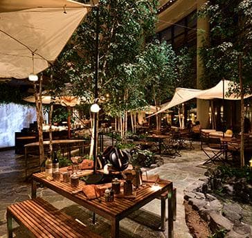ホテルマイステイズプレミア札幌パーク　Farm to Table　TERRAの画像3枚目