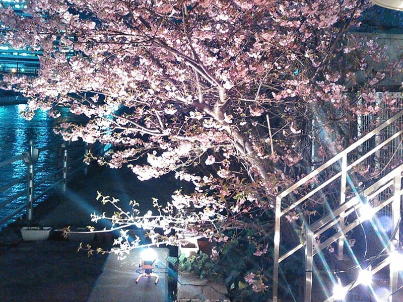 写真49枚目
