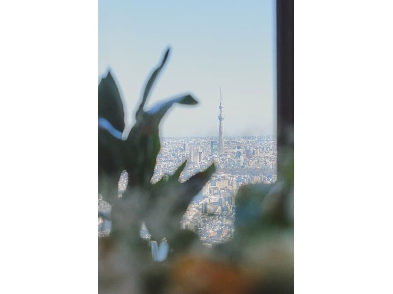 写真34枚目