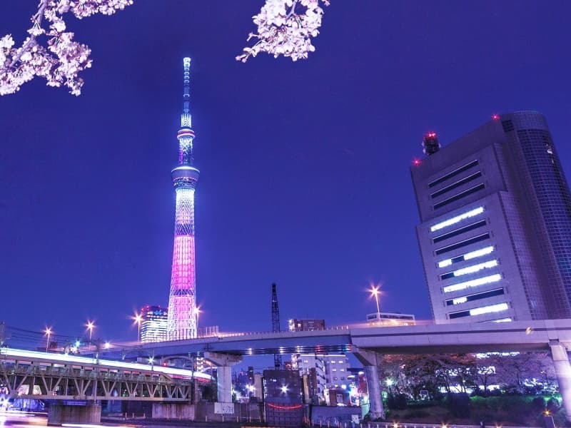 スカイツリー運河クルーズからの景色（夜）