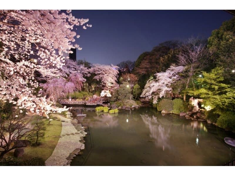 日本庭園『夜桜』
1万坪もの絶景日本庭園。夜はライトアップが魅力です。
全てのバンケットから日本庭園を臨めめます。
謝恩会、歓送迎会、入社式等春らしいイベントを桜で彩ります。
