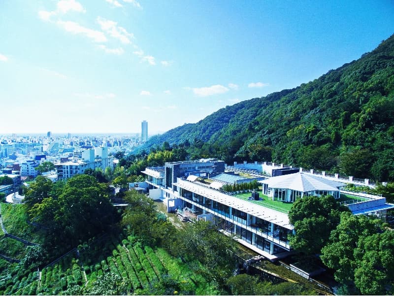 写真12枚目