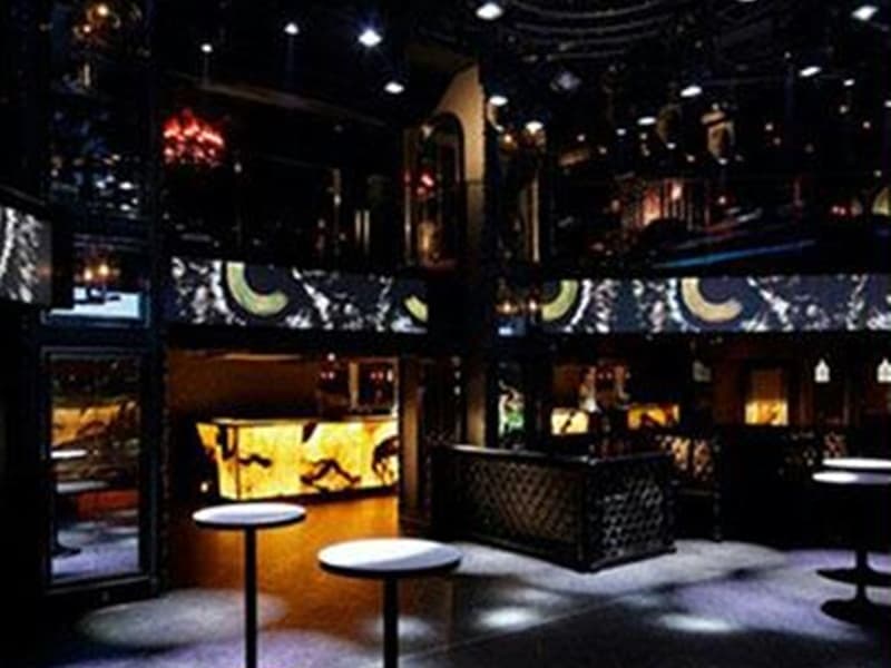 着席最大180名収容可能♪
有名デザイナーによるゴージャスな設計で、VIPシート・ボックスシート多数でゆったり寛げます♪