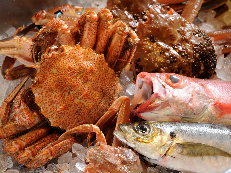 旬の蟹×天然鮮魚×加賀野菜を楽しむ全6品|はち丸をまるごと贅沢に|120分飲み放題付きコース