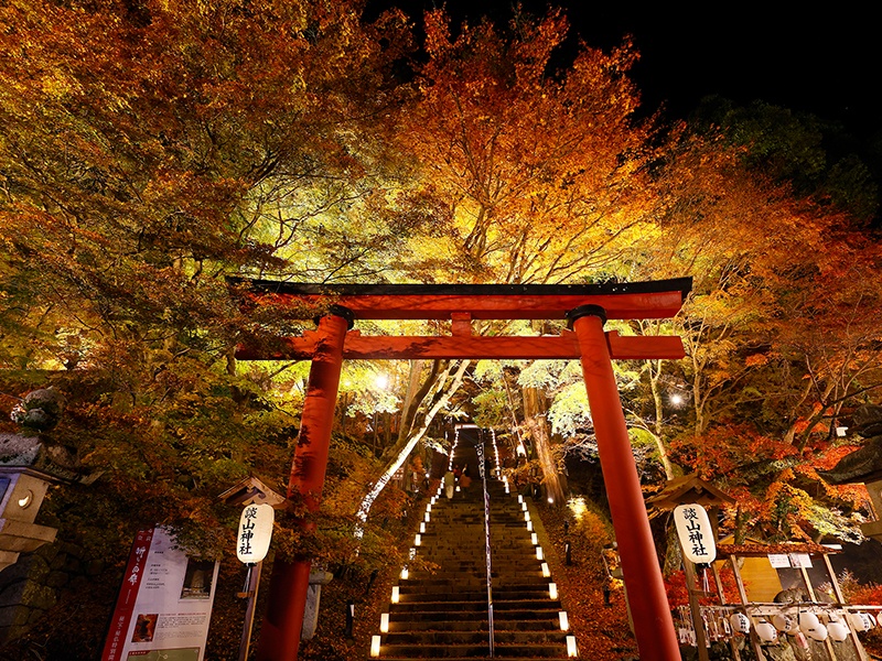 【談山神社】大鳥居：紅葉ライトアップ