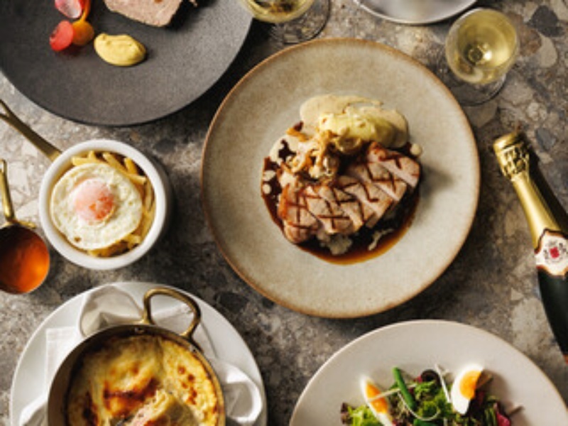 【半貸切着席コースプラン】14名～最大16名様まで利用可能～ディナー5皿コース+2時間飲み放題付き