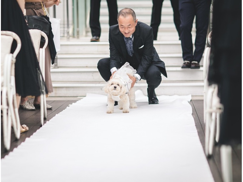 一生の想い出にペットの愛犬も参加させたい!! そんなわがままも叶えられます♪
