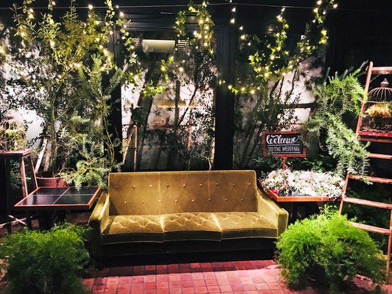 グリーン溢れる開放的な店内は、時間を忘れてゆったりくつろげます