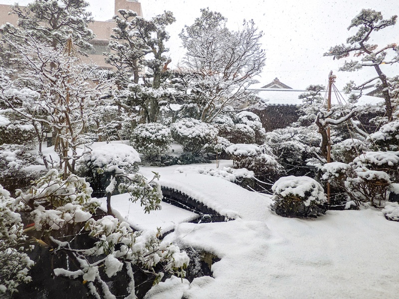 冬の庭園。
四季折々の庭園をお楽しみいただけます。