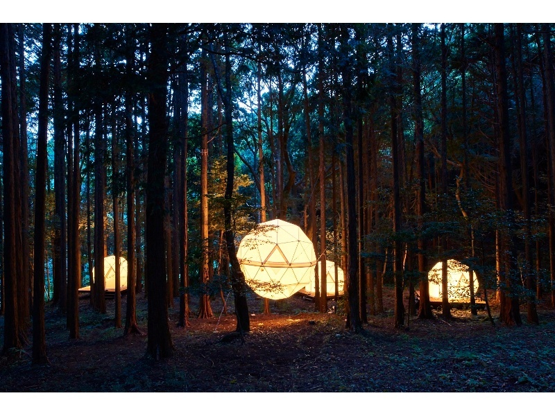 森に浮かぶ球体テント