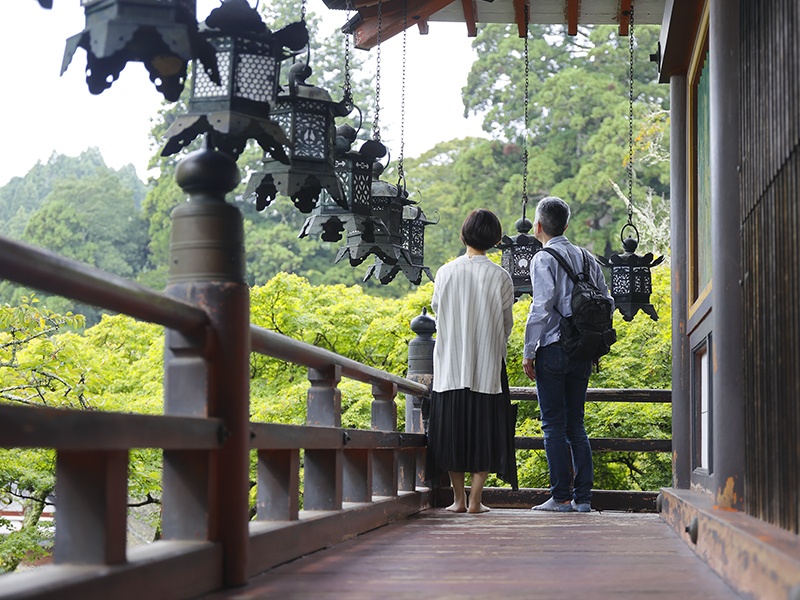 【談山神社】拝殿：緑の境内