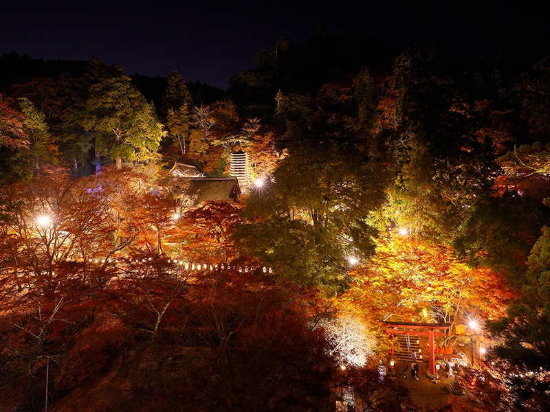 【談山神社】多武峰観光ホテル内から臨む紅葉ライトアップ