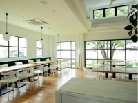 キンボシパスタカフェ