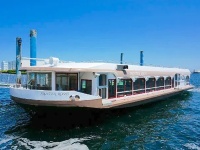 フロンティアルーツ