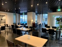 ローザロッチェ